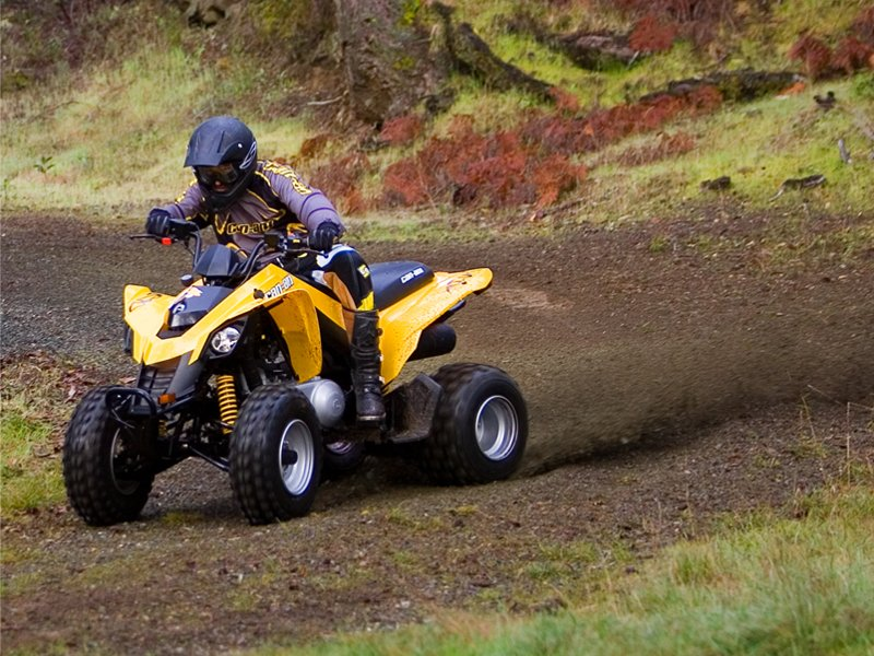 Квадроцикл какой нужен. BRP can-am DS 250. БРП 250 квадроцикл. BRP can am 250. Квадроцикл BRP ДС 250.