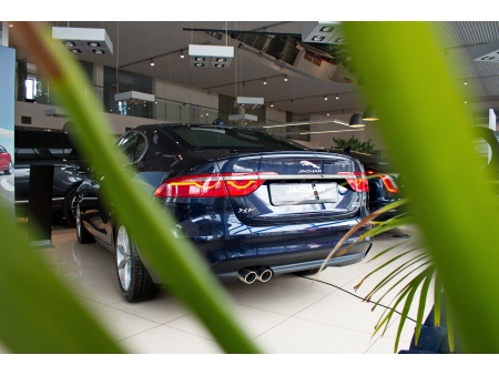 Jaguar "Автолига" на Бринского фото