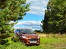 Ford Fiesta: Средство от скуки - фотография 14
